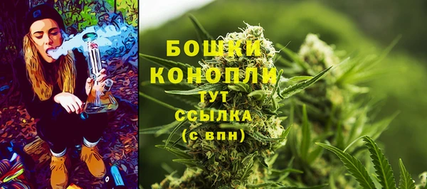 стаф Навашино