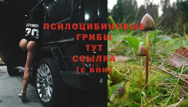 соль курить ск Наволоки