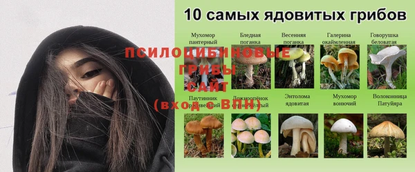 стаф Навашино