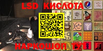 стафф Гай