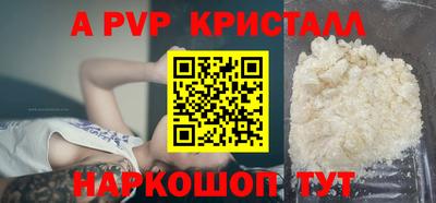 стафф Гай