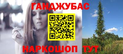 стафф Гай