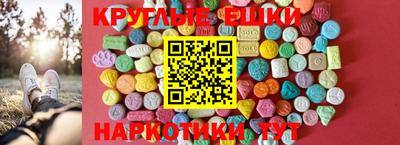 стафф Гай