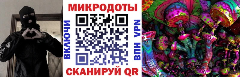 Псилоцибиновые грибы Psilocybine cubensis OMG tor Острогожск