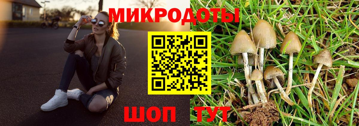 Галлюциногенные грибы MAGIC MUSHROOMS Острогожск